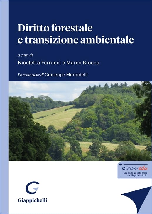  Diritto forestale e transizione ambientale
