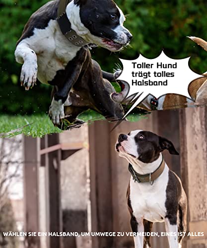 Hundehalsband für Große Hunde - 5 cm Breites Halsband mit Griff für Extragroße Hunderassen, schwerlast, Weich Gepolstertes Neopren Nylon Hunde Halsband für Grosse Hunde Big Dog Collar M, Khaki