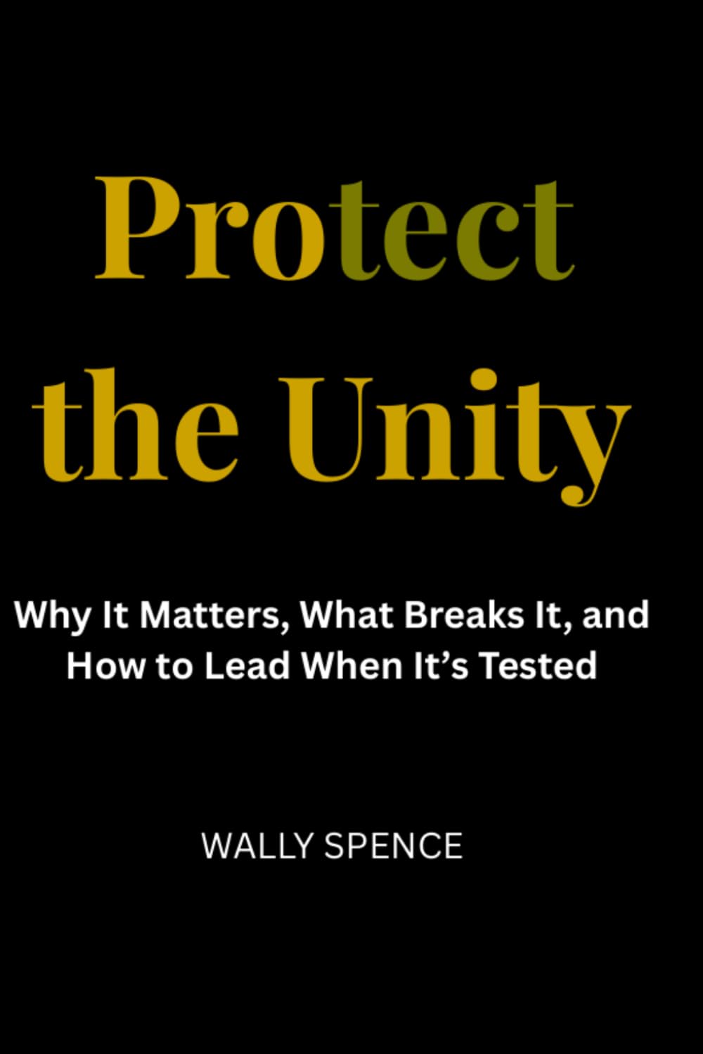 Protect the Unity: Why It Matters, What Breaks It, and How to Lead When It’s Tested
