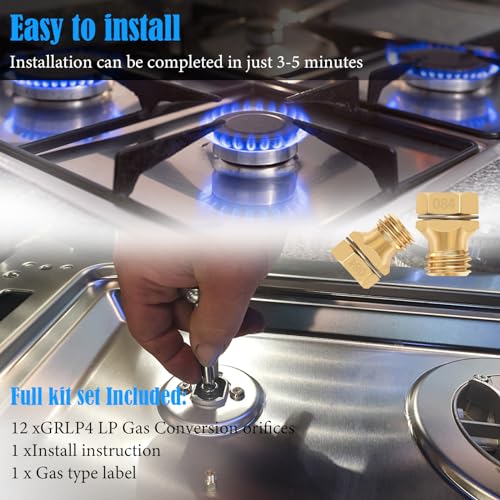 𝟐𝟎𝟐𝟒 𝐔𝐩𝐠𝐫𝐚𝐝𝐞𝐝 GRLP4 LP Natural Gas to Propane Conversion Kit Gas