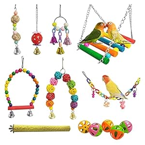 Vogelspeelgoed 13 Packs Bird Swing Toys, papegaai kauwen opknoping stoeltjes met bel, huisdier vogels kooi speelgoed…
