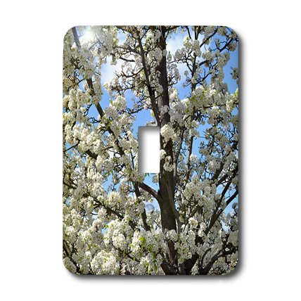 Interrupteur à baïonnette décoratif arbre en fleurs multicolore rustique