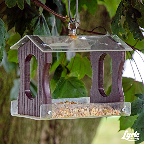 Lyric Fine Tunes Wild Bird Seed - No Waste Bird Food Mix - Attracts Bluebirds, Finches, Chickadees & More - 5 Lb Bag #TOP7