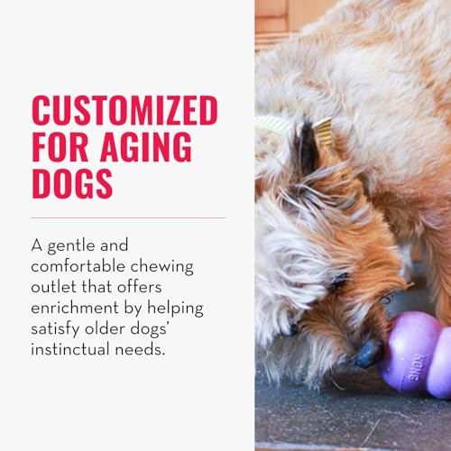 KONG Senior - Hundespielzeug aus Sanftem Naturkautschuk - Befüllbares Leckerli-Spielzeug für Ältere Hunde - Für mittlere Hunde