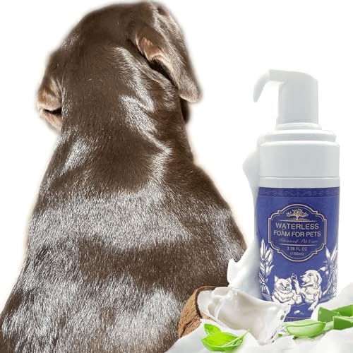 10 Best Dog Shampoo For Smelly Puppies