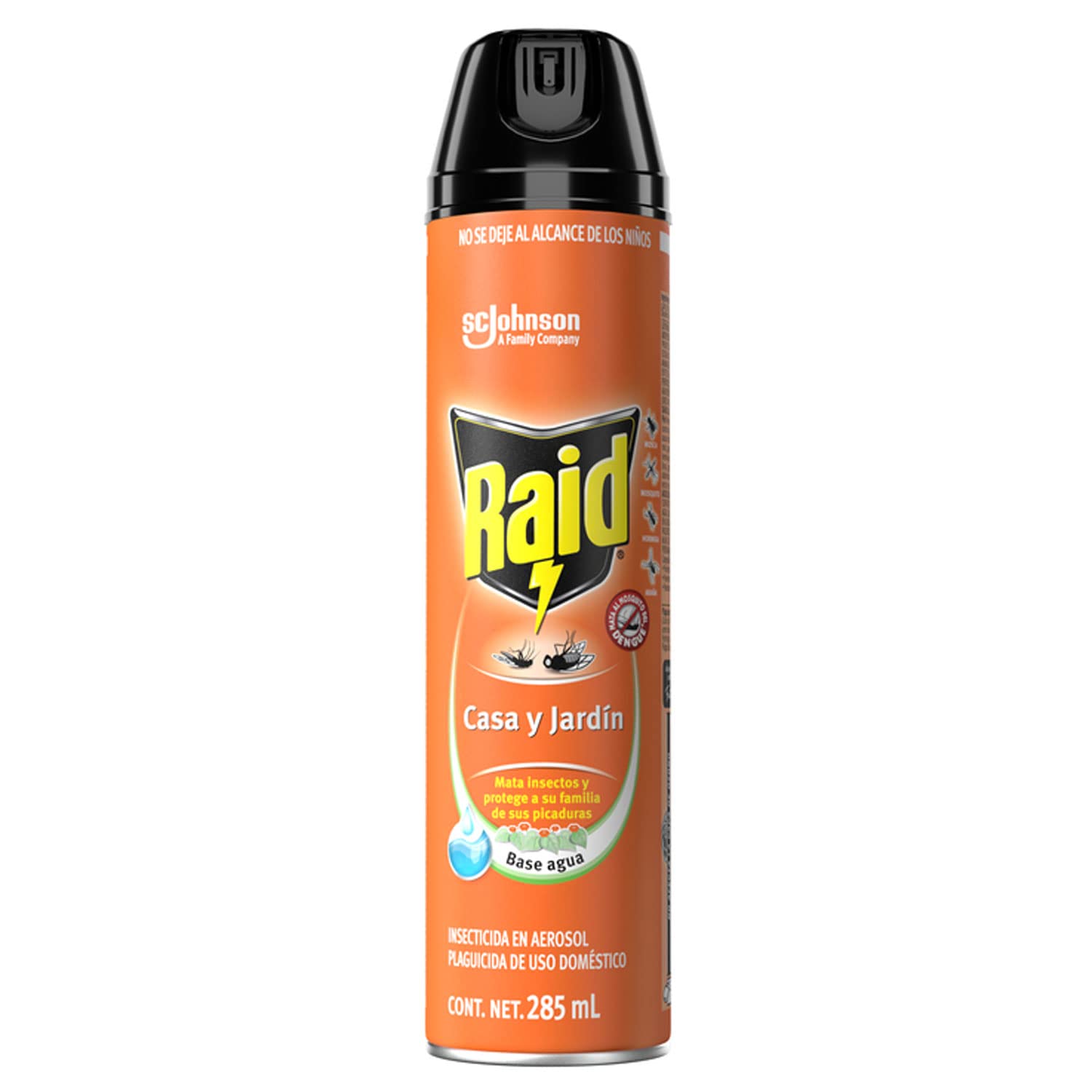 Raid