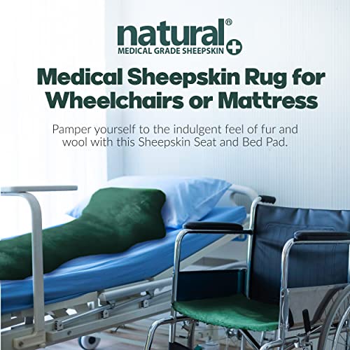 Natural Sheepskin For Bed Sores And Skin Irritation | Gisborne 100% Real Medical Sheepskins With Non-Slip Back For Pain Relief And Discomfort, Wool Seat Pad, Emerald, 30 In. X 60 In. #TOP3
