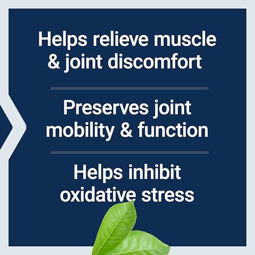 Life Extension MSM Capsules