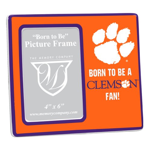 Clemson Youth Frame #TOP12