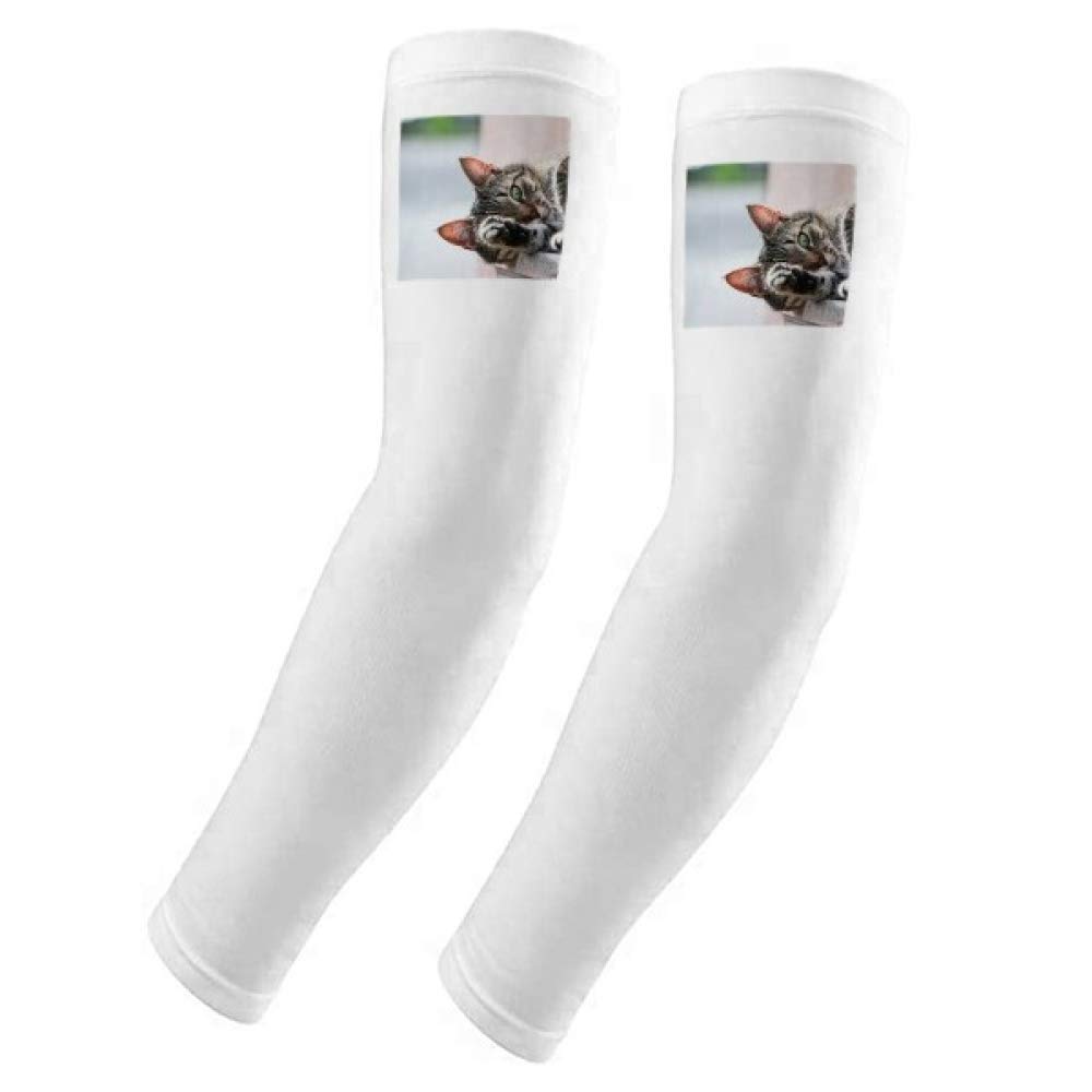 Manchons de protection UV chat pour éviter les brûlures d'été - 5