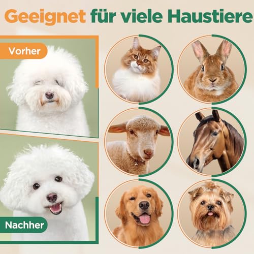 Gimars 3 in 1 Aufgerüstete 4 Gang Hundeschermaschine 7000 U/min für dickes Fell, Leise Tierhaarschneidemaschine Hundehaarschneidemaschine Aufladbarer Hunderasierer, Kabellose schermaschine katze