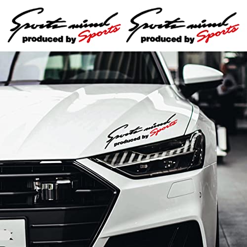 The 26 Best Vinyl Car Decals of 2024 [Verified] Cherry Picks