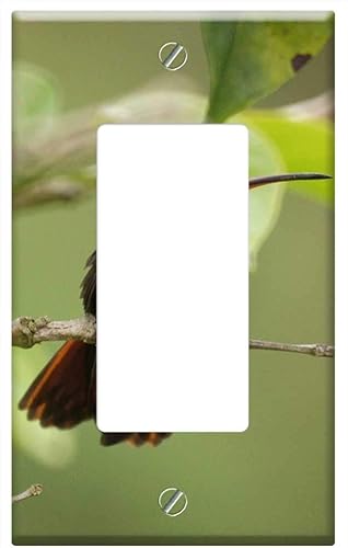 Switch Plate Single Rocker/GFCI - Fauna Nature The India Quindio