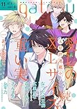 gateau (ガトー) 2023年11月号[雑誌] ver.B