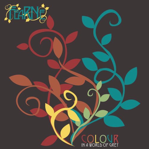 Colour in a World of Grey