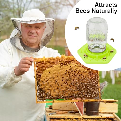 Bees Feeders for Mason Jar 2PCS, Bee Watering Station for Garden, Compatible with Regular and Wide Mouth Mason Jar, Silicone Pollinator Waterer Bee Bath for Outside, Beekeeping Supplies