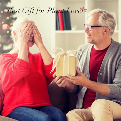 XXXFLOWER Plant Terrarium Wooden Stand, Hydroponic Planter Bulb Glass Metal Swivel Holder Retro Air Plants Water Plants for Home Office Decoration, Plant Lover Gifts - 2 Love Bulb Vase image 4