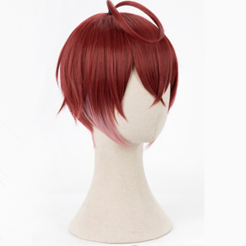 Game Cosplay Wig Heartslabyul Red Hair Short Straight Wig Layered Wig with Bangs Heat Resistant Wig Role Play Halloween Wig 32 CM