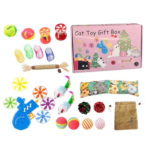 Jeu éducatif pour chat : lot d'activités d'intérieur et grattage - 2