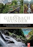 Das Giessbach-Wunder: Franz Webers unglaubliche Rettung des Schweizer Hotel-Juwels, Mit einem Vorwort von alt Bundesrat Adolf Ogi - Herausgeber: Vera Weber 