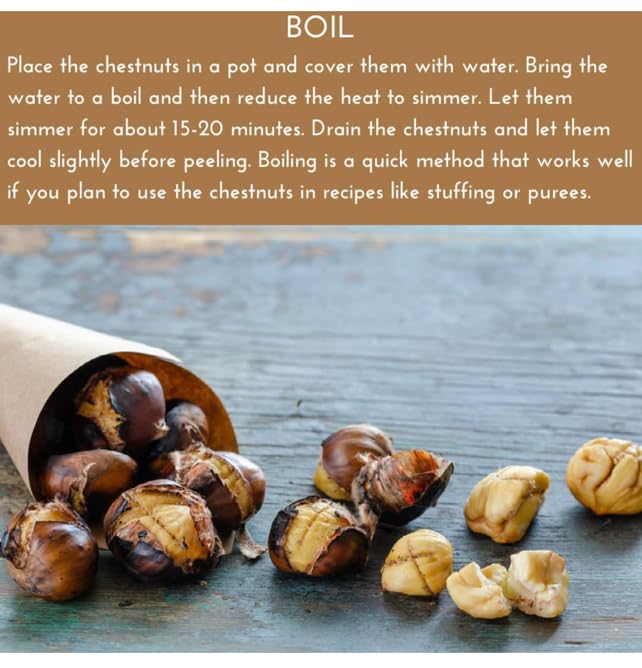 Castañas Crudas Frescas en Cáscara, 2 Lb miniatura 4