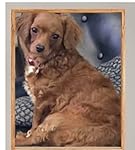 Review Image by Bonnie Barnes Bonnie Barnes