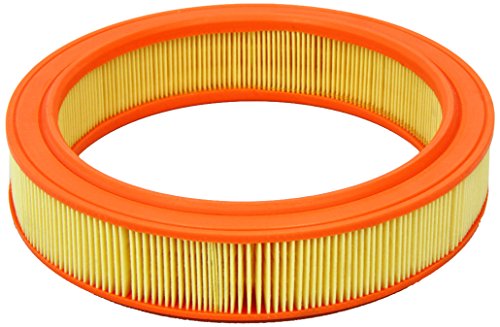 MANN-FILTER C 2749 Filtro Aria - per auto