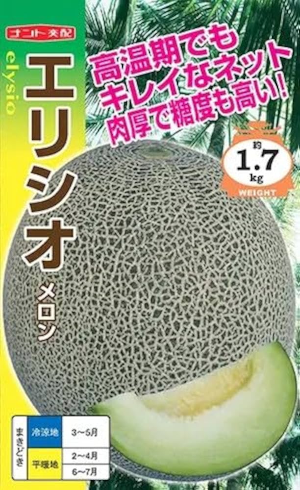 メロン出品① Amazon.co.jp: ITANSE らくらく極甘緑肉ネットメロン(品種