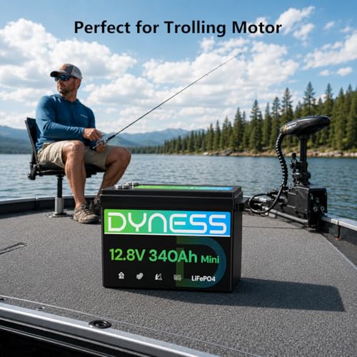 Image of Dyness 12V 340Ah Mini LiFePO4 Lithium Battery, Max.4352Wh, Built-in 200A BMS with Low-Temp Protection,10 Year Lifespan,Supports 4P4S Connection Up to 69.63kWh Perfect for Rv,Home Solar System,Off-Grid