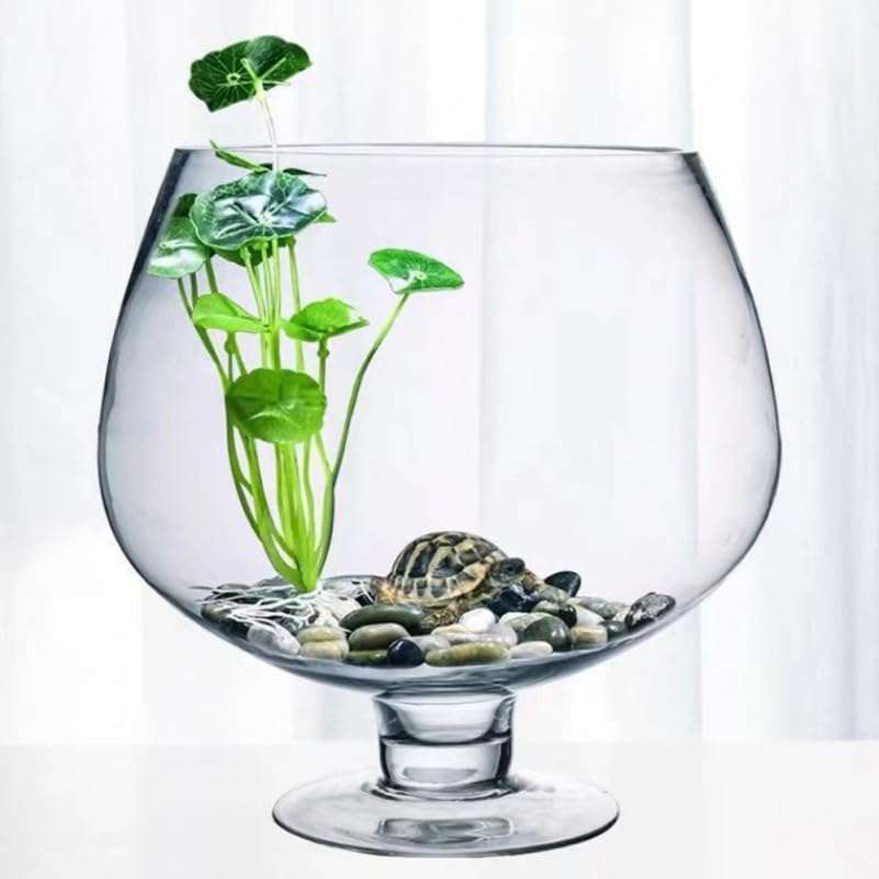 HEMOTON Vase Bocal à Poisson Rouge Décor Aquarium Réservoir De Table Bocal à Poisson Terrarium Réservoirs Réservoir De Beta en Verre Réservoir De...