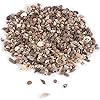 Super Z Outlet Tiny Miniature Fairy Garden Beach Critter Seashells Marine Life Collection for Art & Craft Project, Outdoor & Indoor Home Decoration, Party Favor, Invitation (4.5oz Bag, 500 Shell) #1