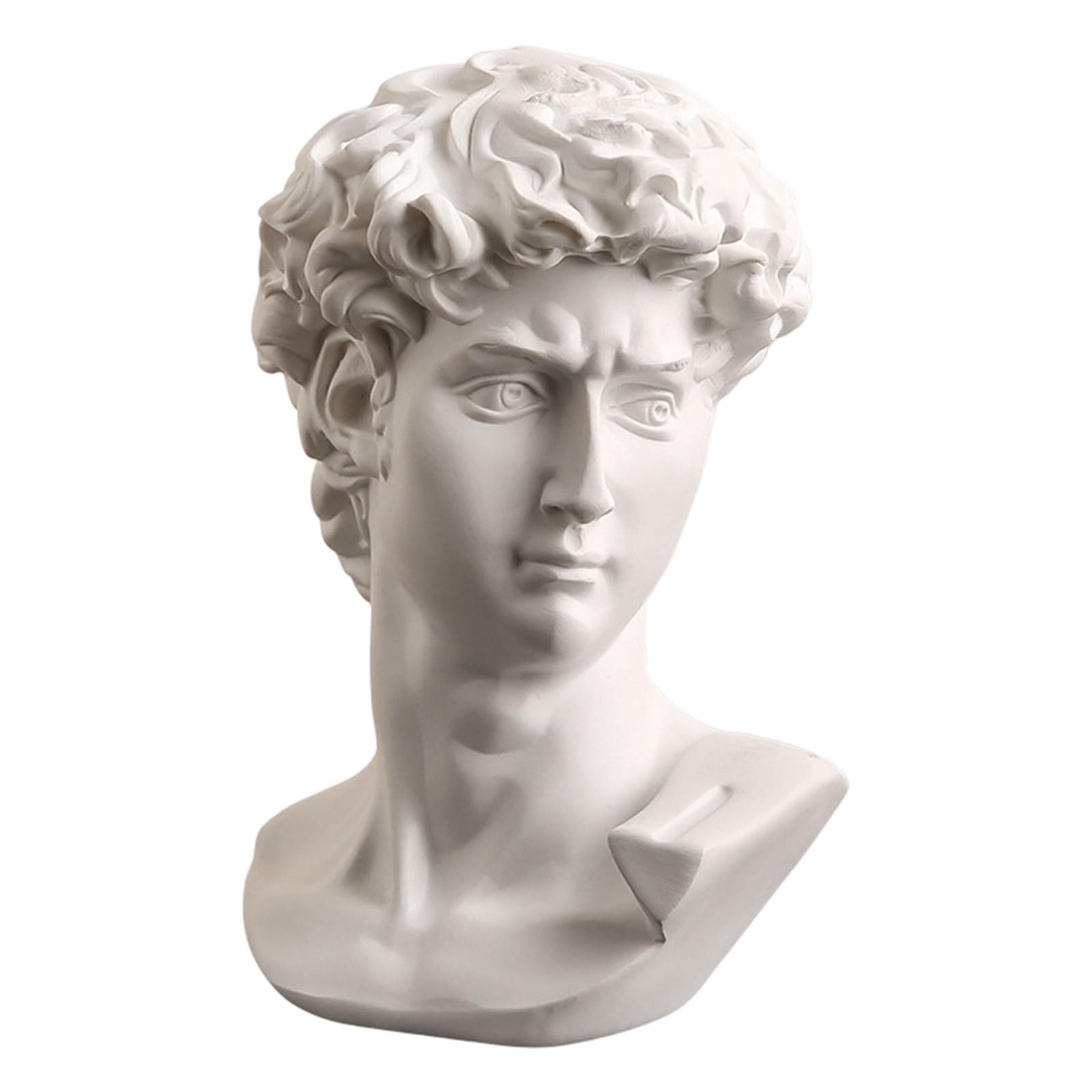 Pasisuu Detailed Resin Statue Greek Bust Ornament, Multi-angle Observation Model for Art Students, Classic David Sculpture Replica for Drawing Practice, White Home Decor Figurine B