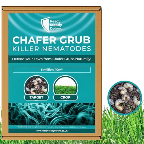 Chafer Grub Killer Nematodes 10 m² (5 million) - Natural Beneficial Nematodes for Lawn Protection, Controls Chafer Grubs Effectively, Ideal for Lawn Health & Nematode Treatment, Easy Application