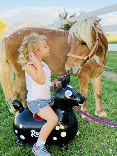Gymnic Rody Bounce Horse Black - Thumbnail 4