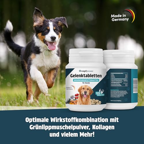 Napfpower Gelenktabletten Hund (125 STK.) mit Grünlippmuschel - Leckerli mit MSM, Teufelskralle, Glucosamin, Hyaluron & Kurkuma Unterstützt die Gelenke & Knochen