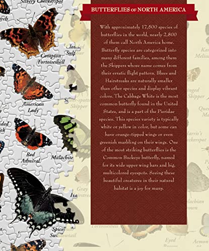 Rompecabezas MasterPieces de 1000 piezas para adultos, familia o jóvenes: Mariposas de Norteamérica, 19,25" x 26,75" miniatura 3