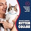 Rhinestones Cat Collar, Genuine Leather Kitten Collar, Sturdy Breakaway Cat Collar, Water-Resistant Cat Collar with Bell & Elastic Stretch, Baby Blue, 10 x 1/2 inches - Angel Pet Supplies #3