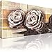 Produktbild Leinwandbild Rosen Blumen Kunst Wandbild 1-Teilig: 60x35 cm