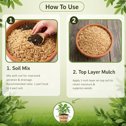 Image of DIVINE TREE Organic Rice Husk for Plants | Paddy Husk Soil Conditioner & Potting Mix Additive for Gardening | Improves Aeration, Drainage & Water Retention | Natural Mulch (450gram)