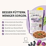 BugBell 800g BellyVital - Premium Trockenfutter mit Insekten - Fettreduziertes Trockenfutter für Hunde - Verdauung & Darmflora mit Präbiotika - Hundefutter trocken mit Löwenzahn