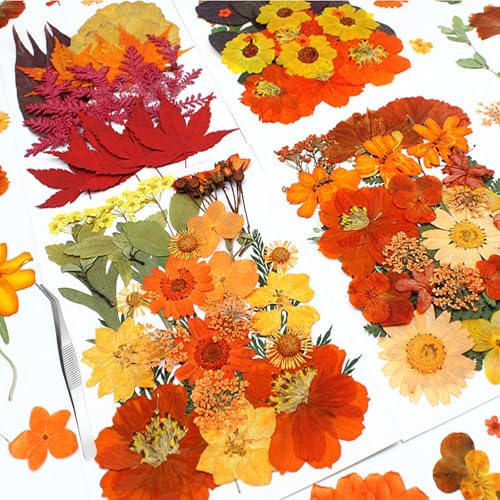 Flores prensadas secas otoño para manualidades 103 piezas miniatura 7