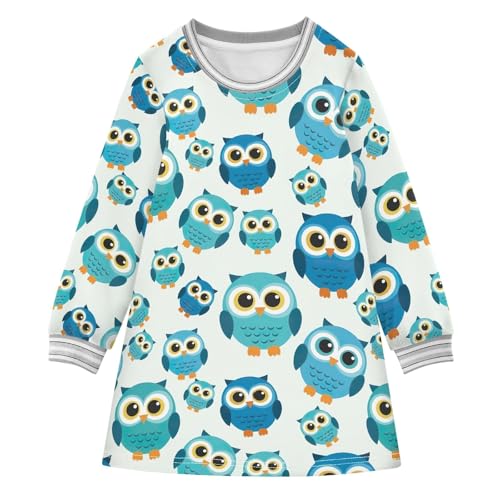 Long Sleeve Girls Dresses, Cute Blue Teal Owls Thanksgiving Dress 2T