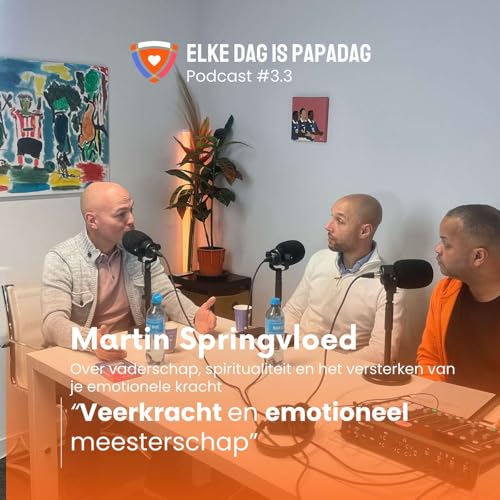 3.3 | Martin Springvloed over veerkracht en emotioneel meesterschap