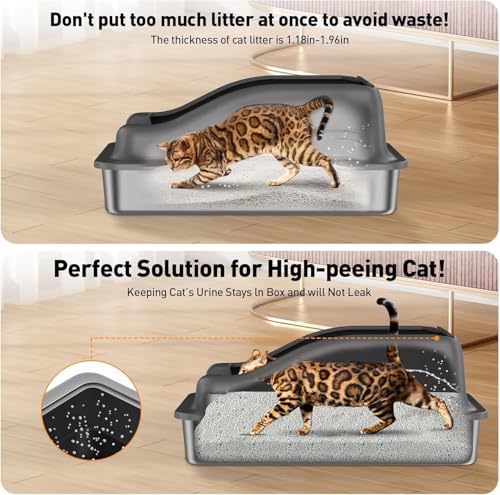 Arenero para gato de acero inoxidable tamaño mediano miniatura 5