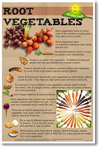 Healthy Foods - Root Vegetables - Novo pôster de nutrição