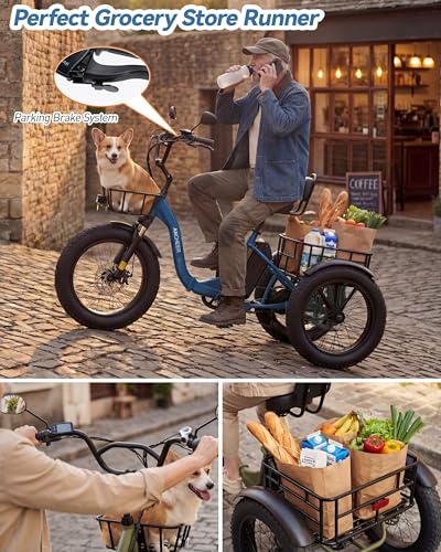 ANCHEER Electric Tricycle