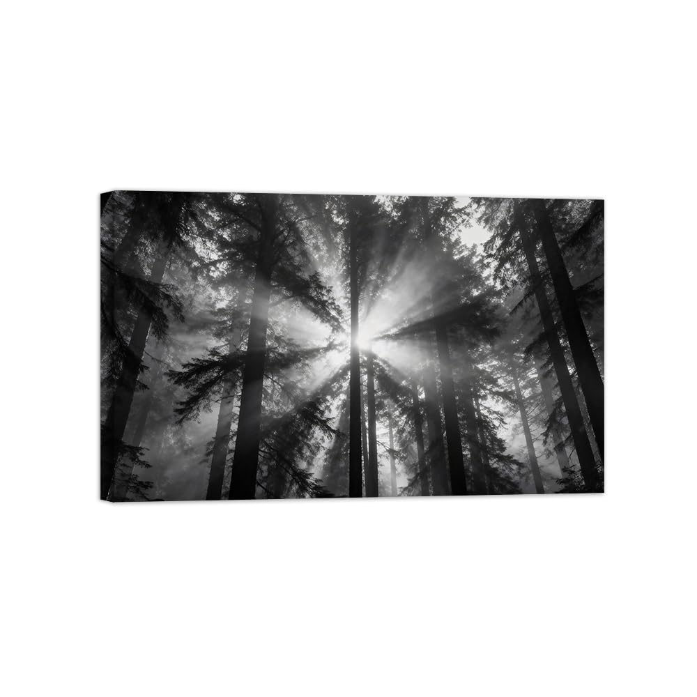 OZPWBVY Black and White Landscape Print Painting-Forest Tree Sunshine 6-Minimalist Canvas Wall Art Picture for Home Ready to Hang 16x26in 40x65cm Wrapped Canvas