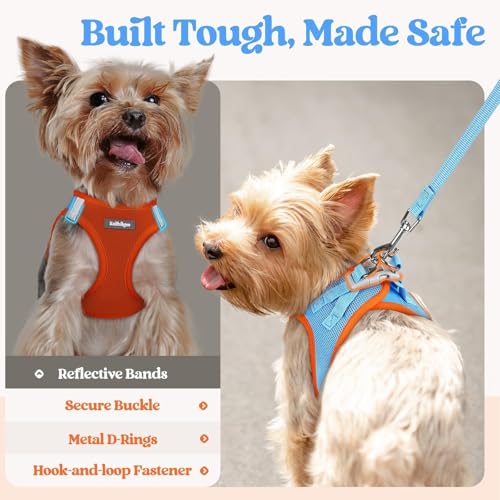 Image of rabbitgoo Dog Harness Medium Sized and Leash Set, Step-in Puppy Pet Vest