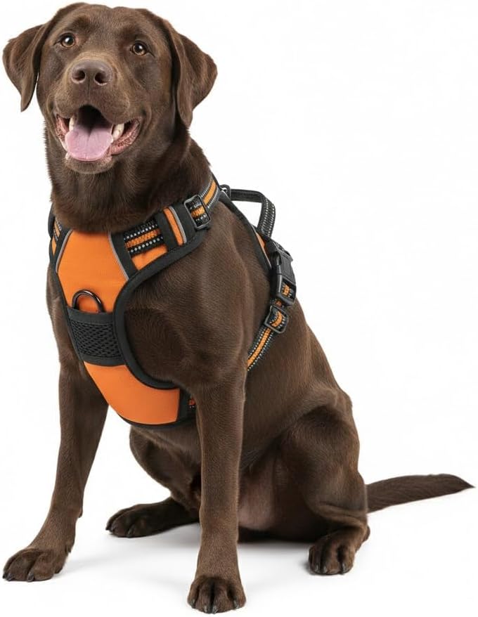 No Pull Dog Harness, Reflective Comfortable Vest Harness with Easy Control Handle Adjustable Soft Padded Pet Vest for Small to X-Large Dogs (Sky Blue, X-Large (Approx Weight:49.60-99.20 LB))