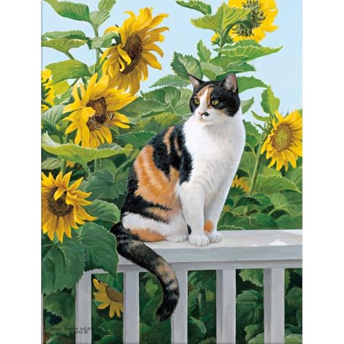Image of Lang, Sunflower Sanctuary Boxed Note Cards